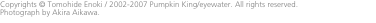 Copyrights © Tomohide Enoki / 2002-2007 Pumpkin King/eyewater. 